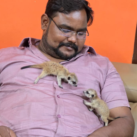 Pet Image