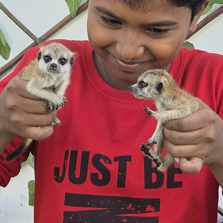 Pet Image
